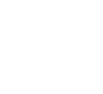 secure data icon